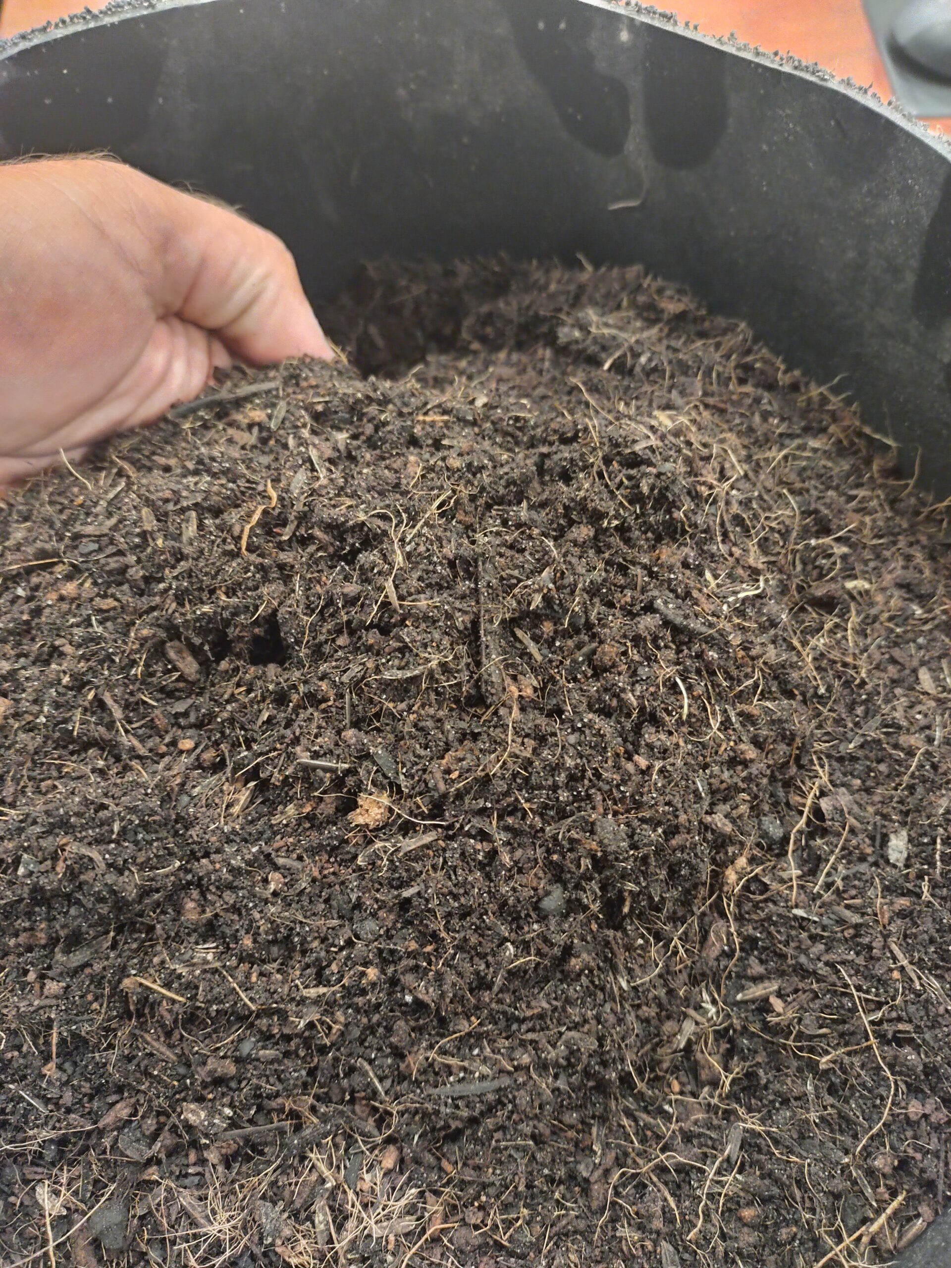 Buttzheadz Living Soil Organic COmpost