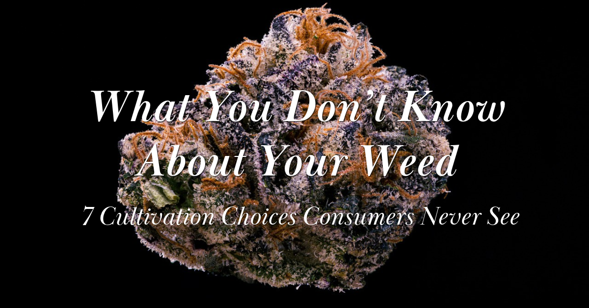 7 Cultivation Choices Consumers Never See_FNM Cover Images Template