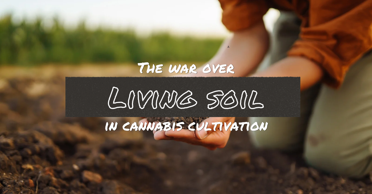 War Over Living Soil in Cannabis Cultivation_FNM Cover Images Template