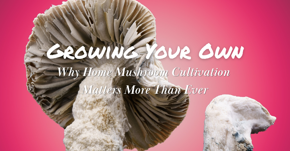 Home Mushroom Cultivation_FNM Cover Images Template
